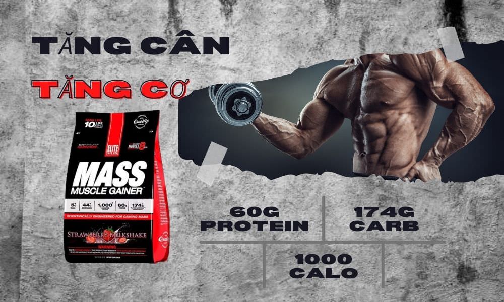Elite Mass Muscle Gainer 10Lbs 1 Mass Muscle Gainer 10Lbs - Tăng cân vuột trội