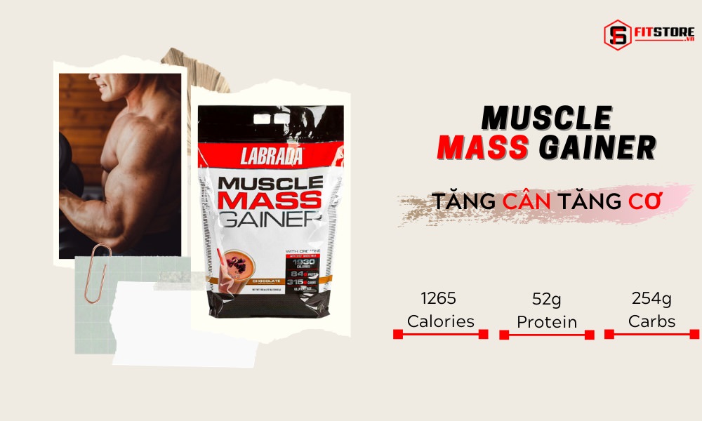 Labrada Muscle Mass Gainer 12lbs 1 Muscle Mass Gainer - Giải Pháp Tăng Cân Tăng Cơ Tuyệt Vời