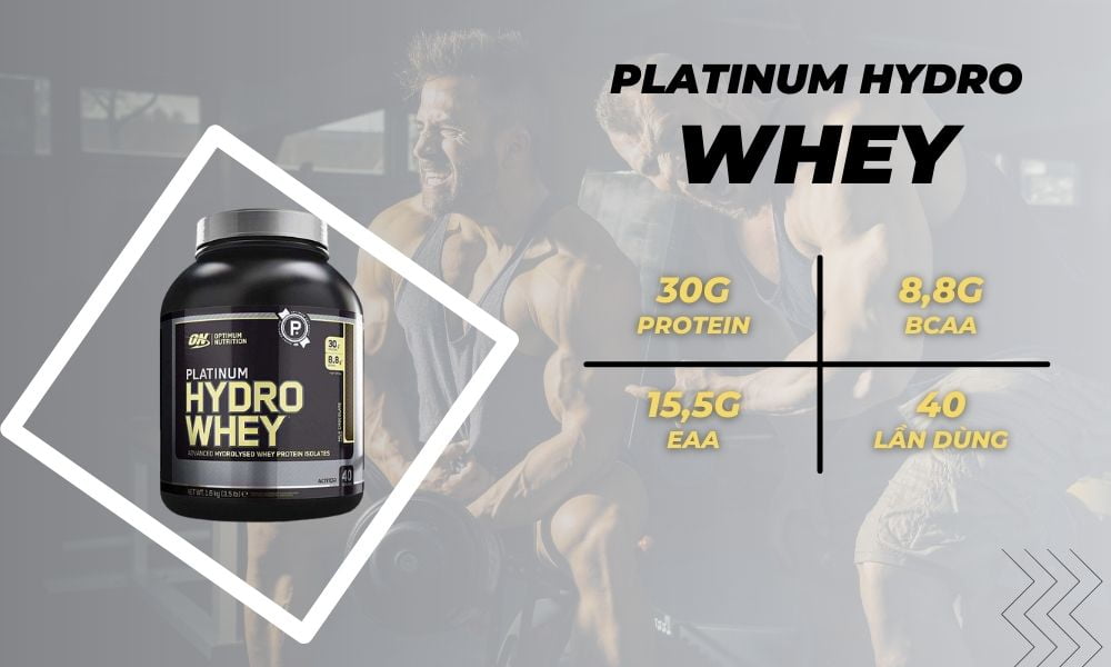 Top Whey Protein tốt nhất