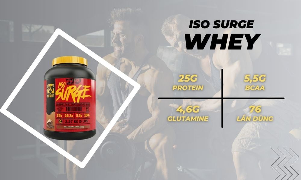 Top Whey Protein tốt nhất