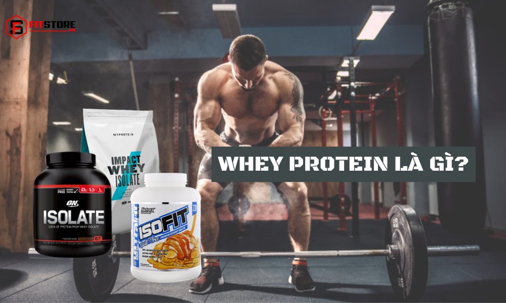 Whey Protein là gì? Những tác dụng của bột Whey nhiều người chưa biết 1 whey protein là gì?