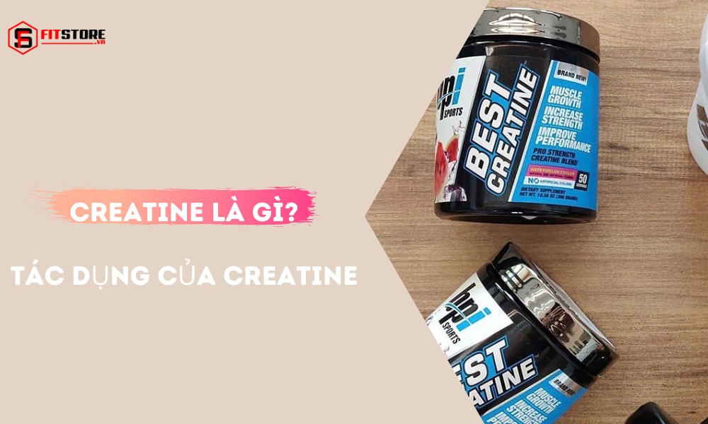 Creatine là gì? Tác dụng và cách dùng Creatine hiệu quả khi tập gym 1 Creatine là gì? Tác dụng của Creatine