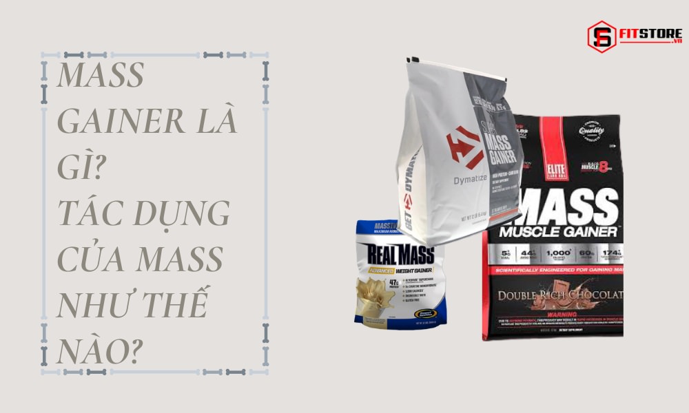 Mass Gainer là gì? Tác dụng như thế nào đối với người tập thể hình? 1 Mass Gainer là gì? Tác dụng của mass như thế nào?
