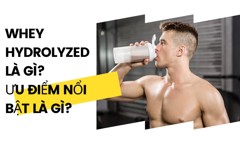 Whey Hydrolyzed là gì? Đánh giá chi tiết, xem ngay! 1 Whey Hydrolyzed là gì? Ưu điểm nổi bật là gì?