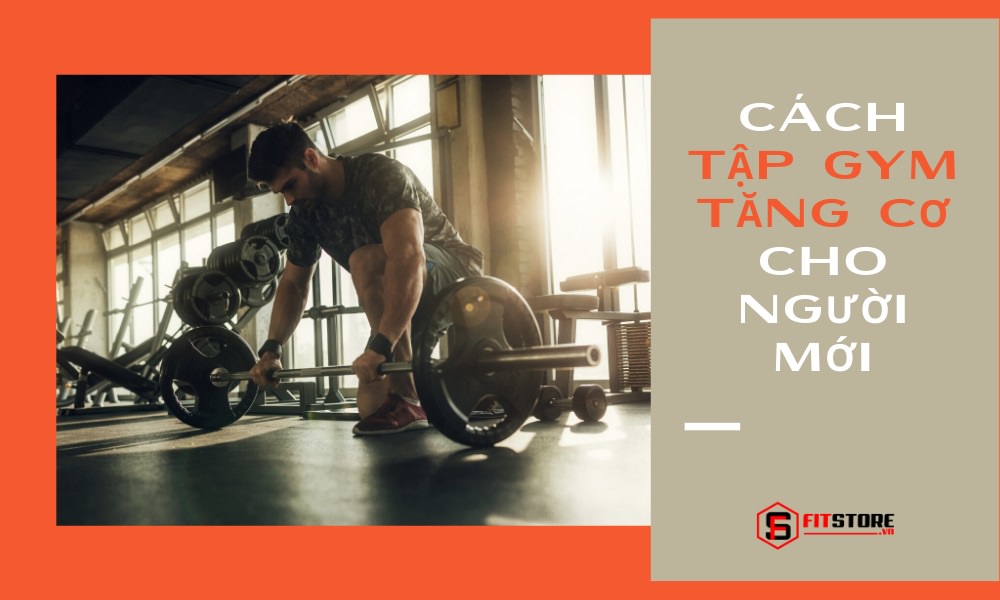 Cách tập gym nhanh tăng cơ dành cho người mới bắt đầu, xem ngay! 1 Cách tập gym tăng cơ cho người mới