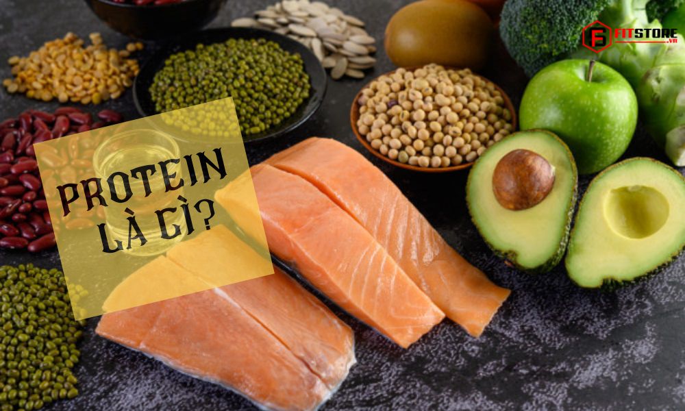 Protein là gì? Protein tập Gym lợi thế nào? Protein tăng cơ ra sao? 1 Protein là gì?
