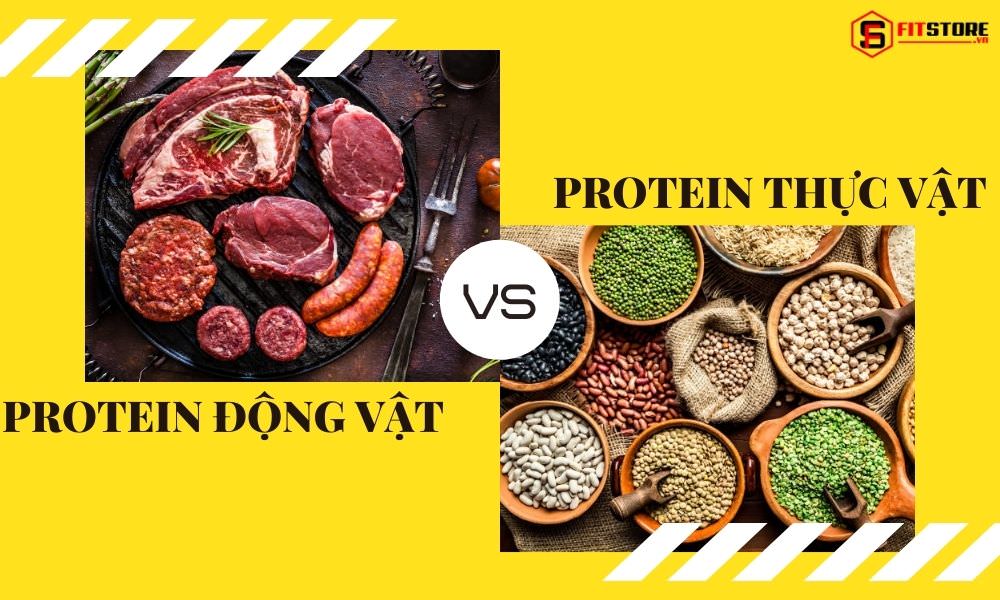 Tập gym nên ăn Protein động vật hay thực vật tốt cho việc tăng cơ? 1 Tập gym nên ăn protein động vật hay thực vật