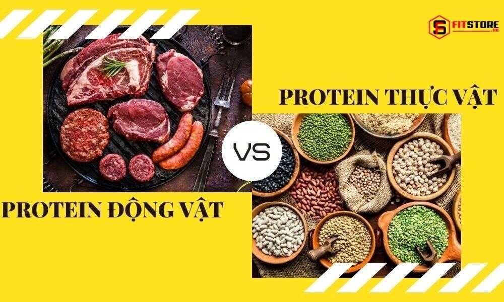 Tập gym nên ăn protein động vật hay thực vật