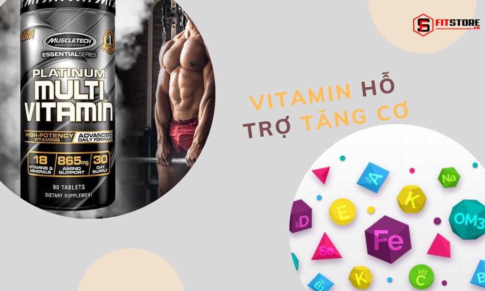Vitamin hỗ trợ tăng cơ nào tốt nhất nên dùng? Vì sao? 1 Vitamin hỗ trợ tăng cơ tốt nhất