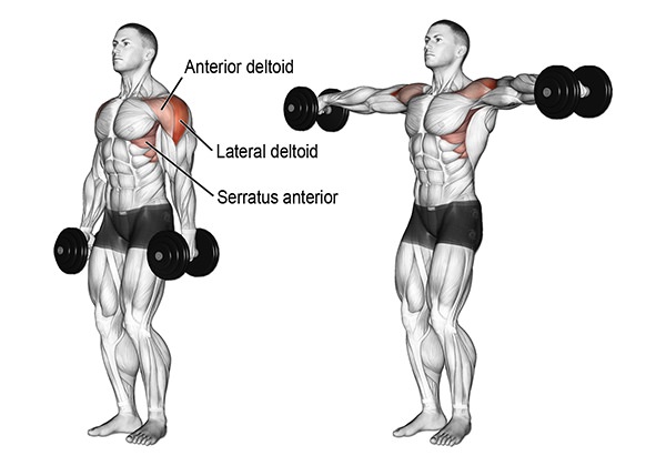 dumbbell lateral raise