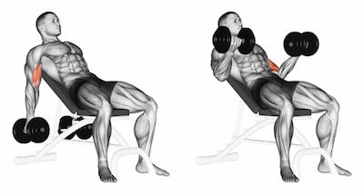 incline dumbell biceps curl