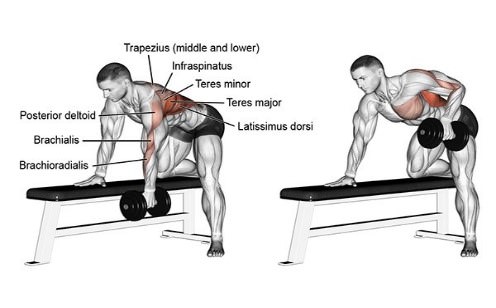 one arm dumbell row