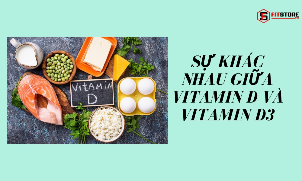 Khám phá sự khác nhau giữa Vitamin D và Vitamin D3 1 Sự khác nhau giữa Vitamin D và Vitamin D3