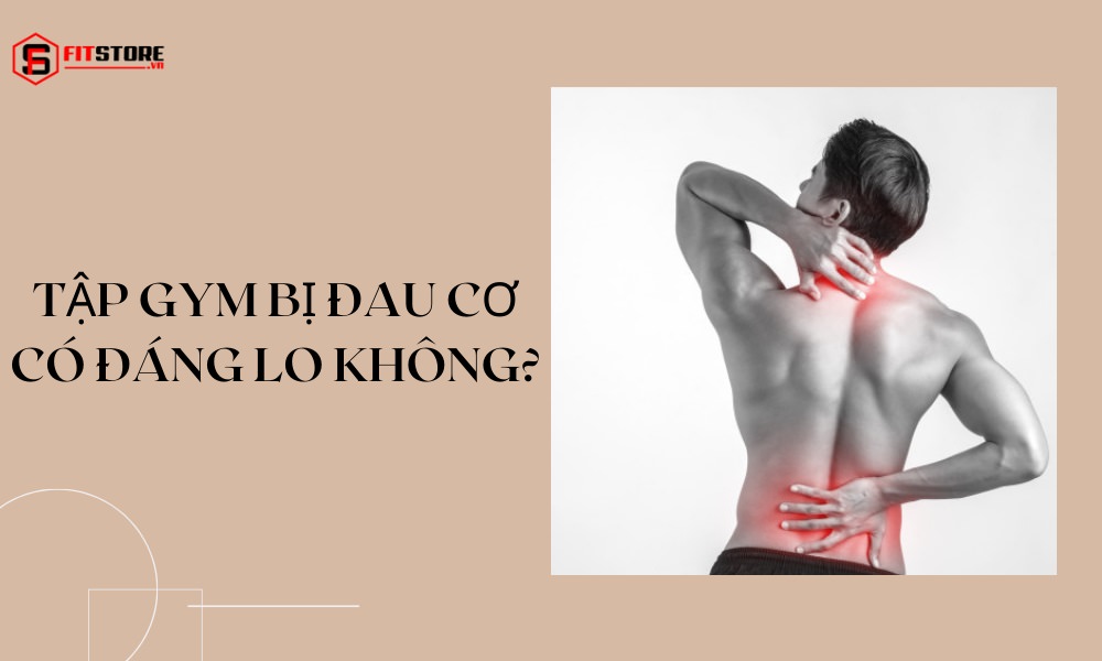 Tập Gym bị đau cơ có đáng lo? Cách hạn chế hiệu quả nhất? 1 Tập gym bị đau cơ có đáng lo không?