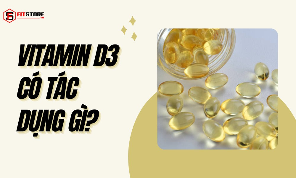 Vitamin D3 có tác dụng gì?