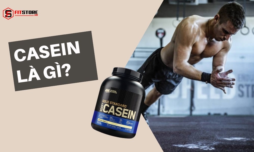 Casein là gì? Vì sao người tập thể hình nên sử dụng Casein? 1 Casein là gì?