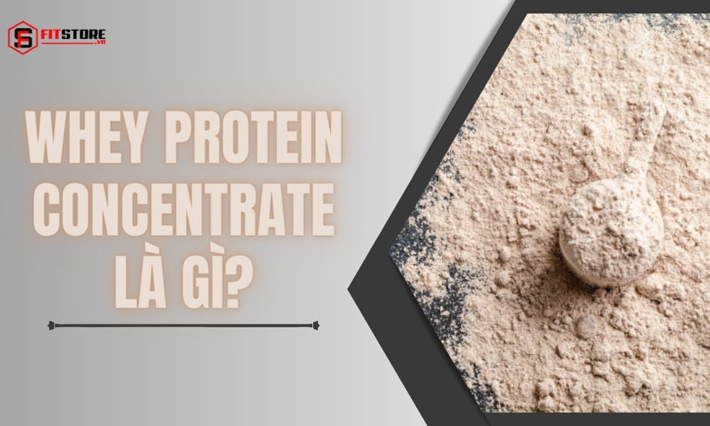 Whey Protein Concentrate là gì?