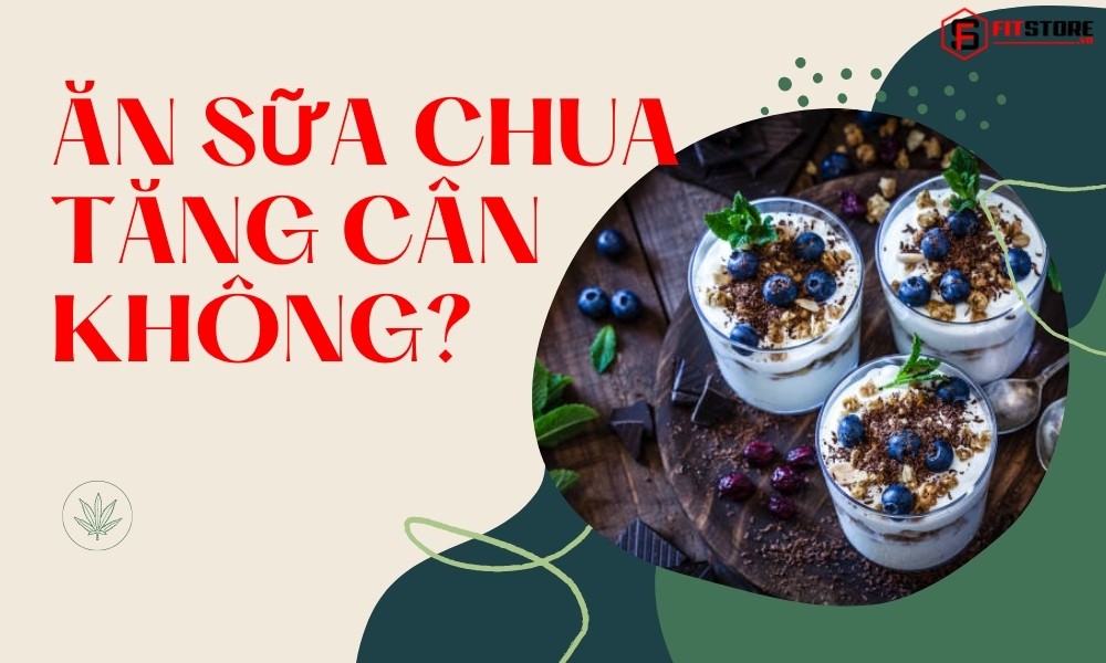 Ăn Sữa Chua Tăng Cân Không? Sử Dụng Như Thế Nào Hiệu Quả? 1 Ăn sữa chua tăng cân không?