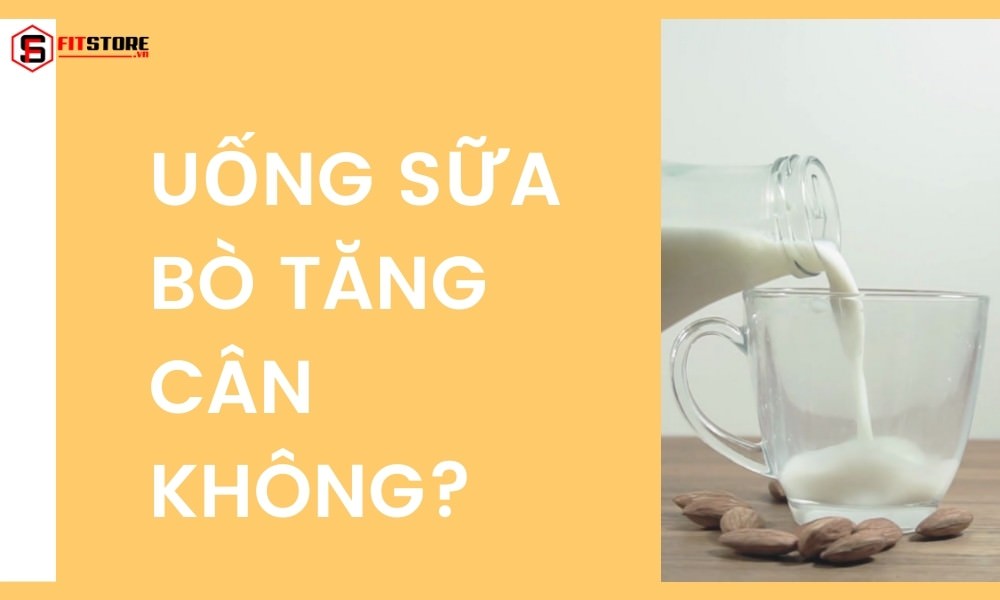 Uống sữa bò tăng cân không?