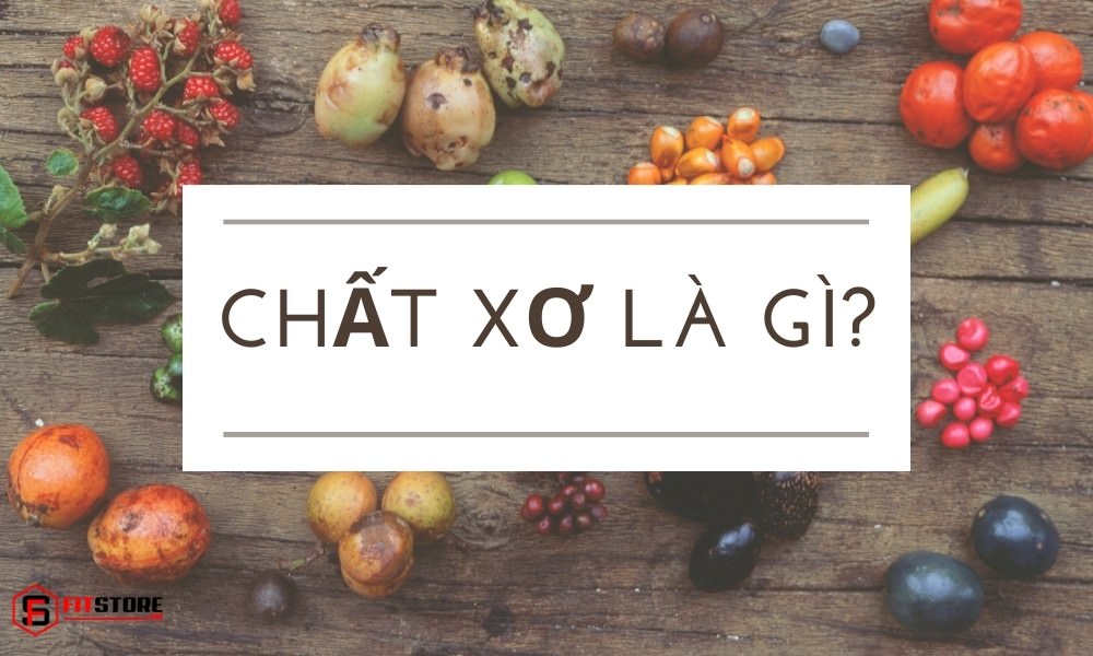 Chất xơ là gì?