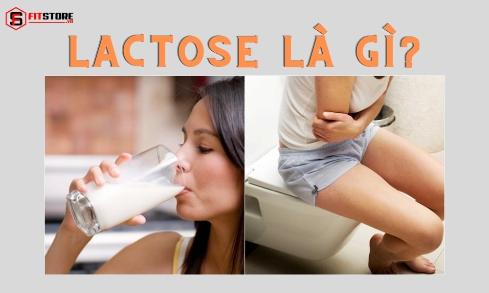 Lactose là gì?