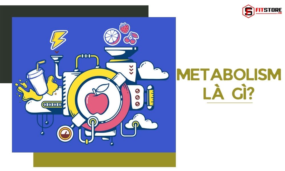 Metabolism là gì?