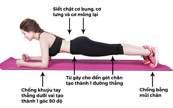 Tác dụng của Plank